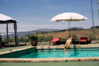Quinta da Barroca Douro Valley - Pools