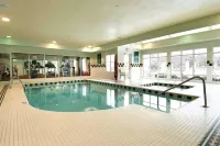Hilton Garden Inn Cleveland/Twinsburg - piscina