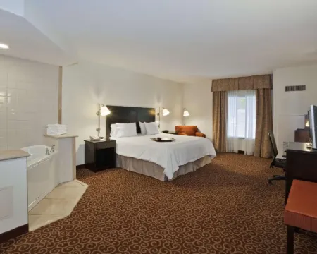 ハンプトン イン キングストン アルスターのホテル