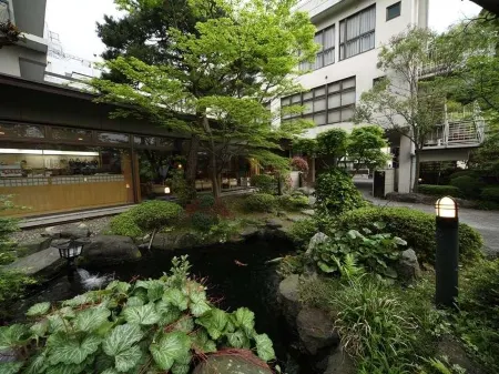雨情の宿新つた