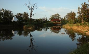 Tuli Tiger Corridor