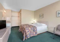 Super 8 by Wyndham Golden Hotel in zona Grizzly Bear Interpretive Centre