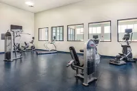 Wyndham Garden Kenosha Harborside - Gym