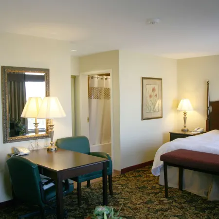 Hampton Inn & Suites Del Rio