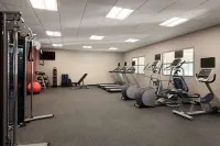Homewood Suites by Hilton - Syracuse/Carrier Circle - Gym