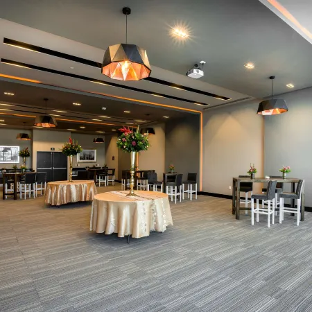Hilton Garden Inn Aguascalientes