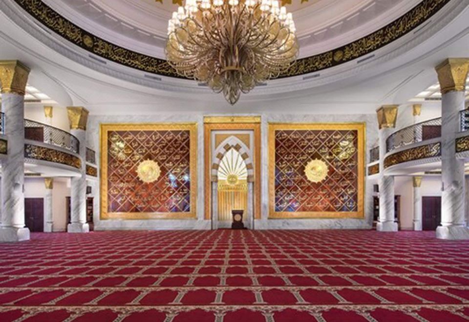 2. 더 트랜스 럭셔..