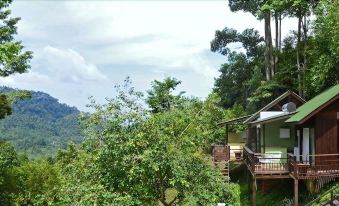 1. 더 두선 세렘반..