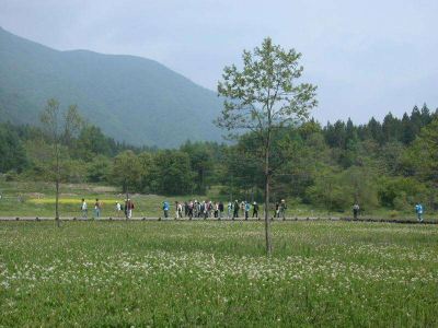 ホテル周辺 白馬ハイランドホテルの写真