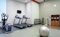 Hotel Moscow Krasnoselskaya (ex. Hilton Garden Inn Krasnoselskaya) - Gym