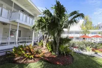 Collins Hotel Hotels near ARTECHOUSE Miami