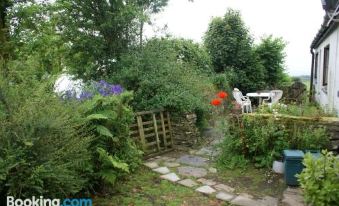 Inviting 2-Bed Cottage in Newcastle Emlyn - Housity
