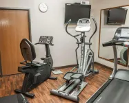 Comfort Suites Auburn Near I-69 - Gym