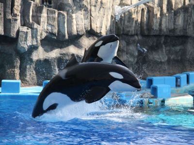 ホテル周辺 the b 名古屋の写真