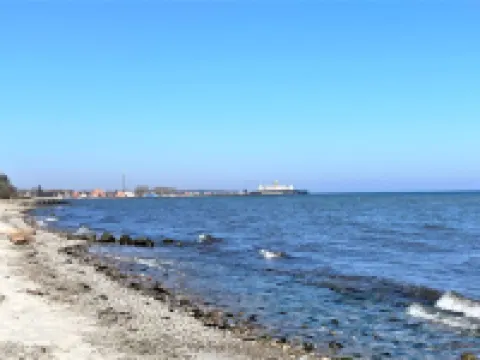 "Flicka" - 275m from the Sea