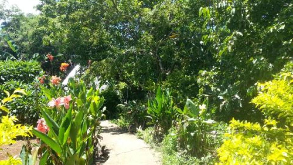 Kim's Garden