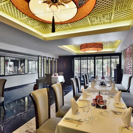 Radisson Blu Hotel, Indore