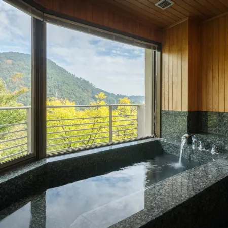Iizaka Onsen Surikamitei Ohtori