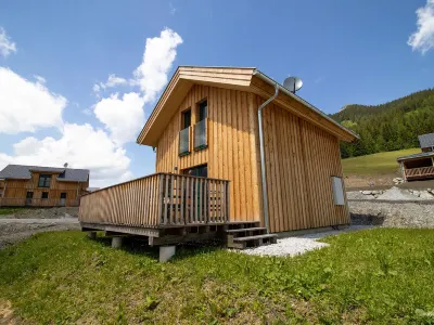 Superior #48 Mit IR Sauna