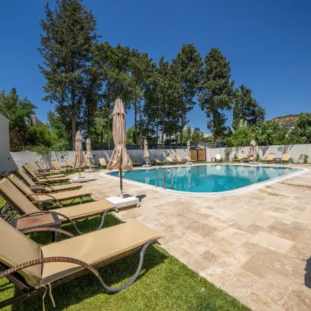 Olive Tree Hotel