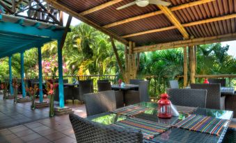 Villa Maria Tayrona, Jungle and Sea Experience