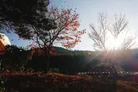 Changnyeong Star Forest Glamping Pension Hotel a Changnyeong-gun