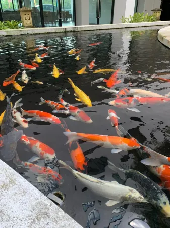 Rex 3Bedroom 5-10Pax 5Min Drive to Vivacity Отели в г. Kuching Division