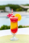 尼維斯山酒店 - 酒吧