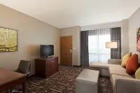 Embassy Suites by Hilton Dallas Frisco Hotel & Convention Center - bar