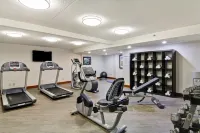 Holiday Inn OAKVILLE (CENTRE) by IHG - Gym
