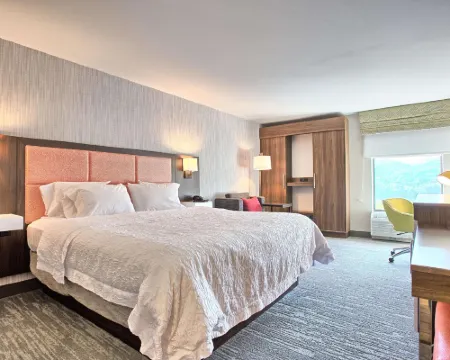 Hampton Inn Williamsport-Downtown Hotels in Williamsport