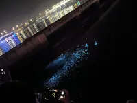 Zheng Shi Zai Xia Apartment (Longshan Road)