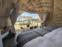 Eight Point Resort Okinawa - Glamping Hotels in Nanjo