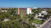Ibis Merida Hotels near Caffe Latte Itzimná
