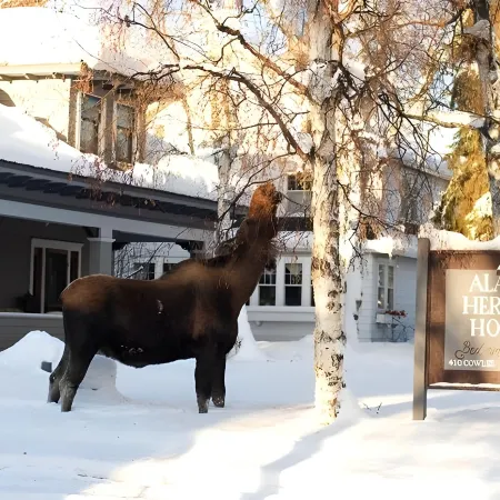 Alaska Heritage House Bed and Breakfast