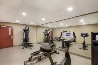 Sleep Inn & Suites North Mobile Saraland - Phòng Gym
