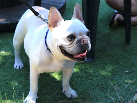 Kiyomi-so Отели рядом с достопримечательностью «Shozuiji Temple»