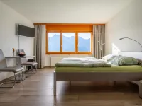 Zurschmitten 10 2.UG Süd Hotels in Riederalp