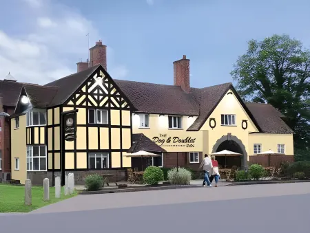 The Dog & Doublet Inn Отели рядом с достопримечательностью «Come Into Play»