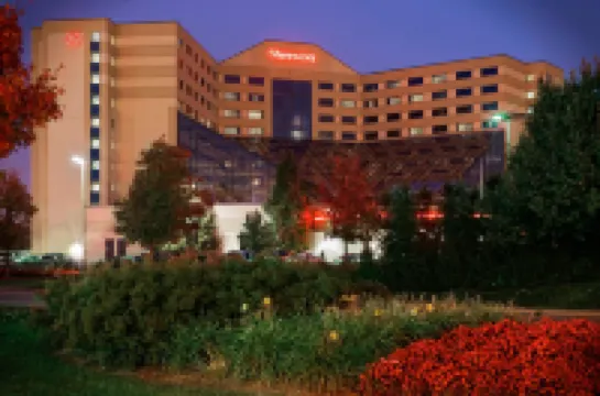 Sheraton Detroit Metro Airport Hotels in 