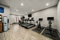 Hampton Inn & Suites Opelika-I-85-Auburn Area - Gym