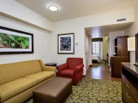 Hilton Garden Inn Lincoln Downtown/Haymarket Hotels near University of Nebraska-Lincoln