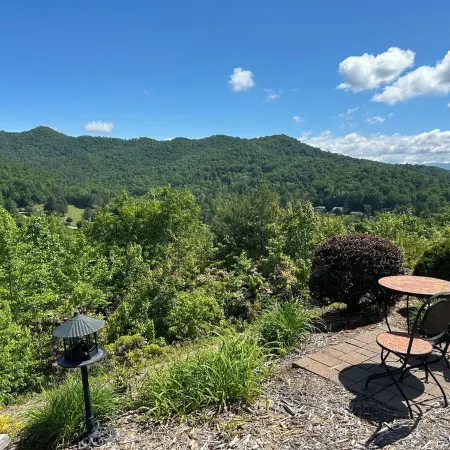 Cardinals Nest at RidgeCrest Villa in the Smoky Mountains