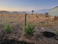 Foothills Vista - Entire Villa separate from main house Hotels in Herne Hill