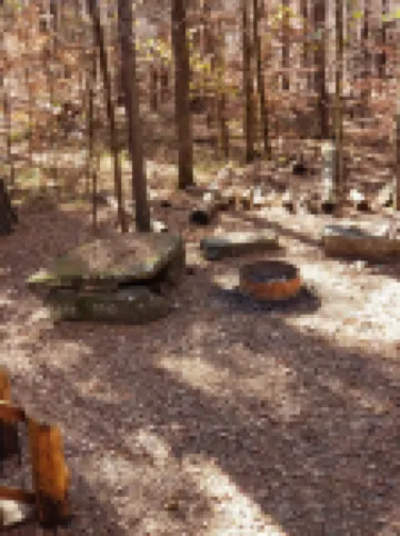 Cabin overlooking creek close to National Forrest a great place to relax