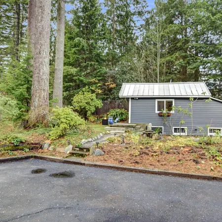 Tiny cabin nestled in the woods