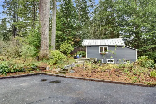 Tiny cabin nestled in the woods
