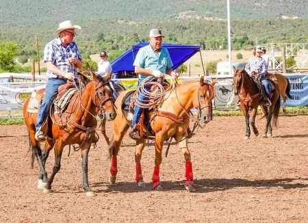 Mountain Cabin Atv Trails, Convenient and Comfort. Enjoy Nature Lots of Parking