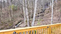 Cardinals on the Creek Cabin-Hot Tub, Pet-Friendly, Backyard Creek!