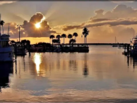 Chic Cottage Walk to Downtown Dunedin & Waterfront Pets Ok- Barefoot Parrot 3 Hotels in Dunedin